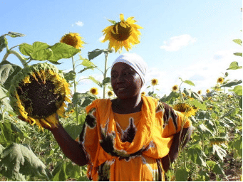 Farmerin mit Sonnenblume.png